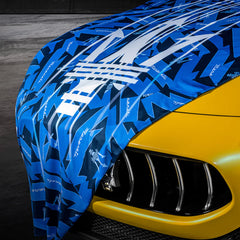 Collection image for: Copriauto