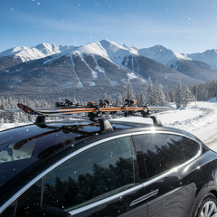 Collection image for: Portasci da tetto , Portasci magnetici