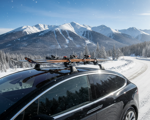 Collection image for: Portasci da tetto , Portasci magnetici