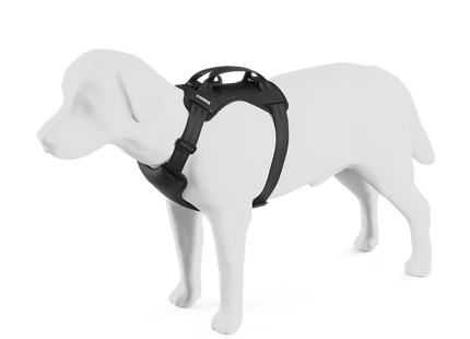 Thule Cappy – Pettorina per Cani - Autoaccessori-Bebbox