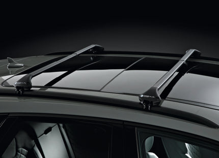 Portatutto Modula perJeep Compass 17-